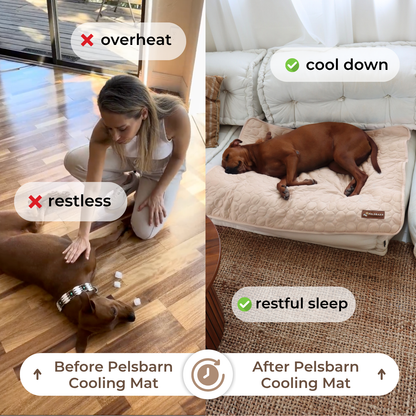 COOLING MAT（ BUY 1 GET 1FREE）