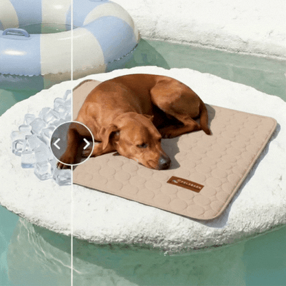 COOLING MAT（ BUY 1 GET 1FREE）